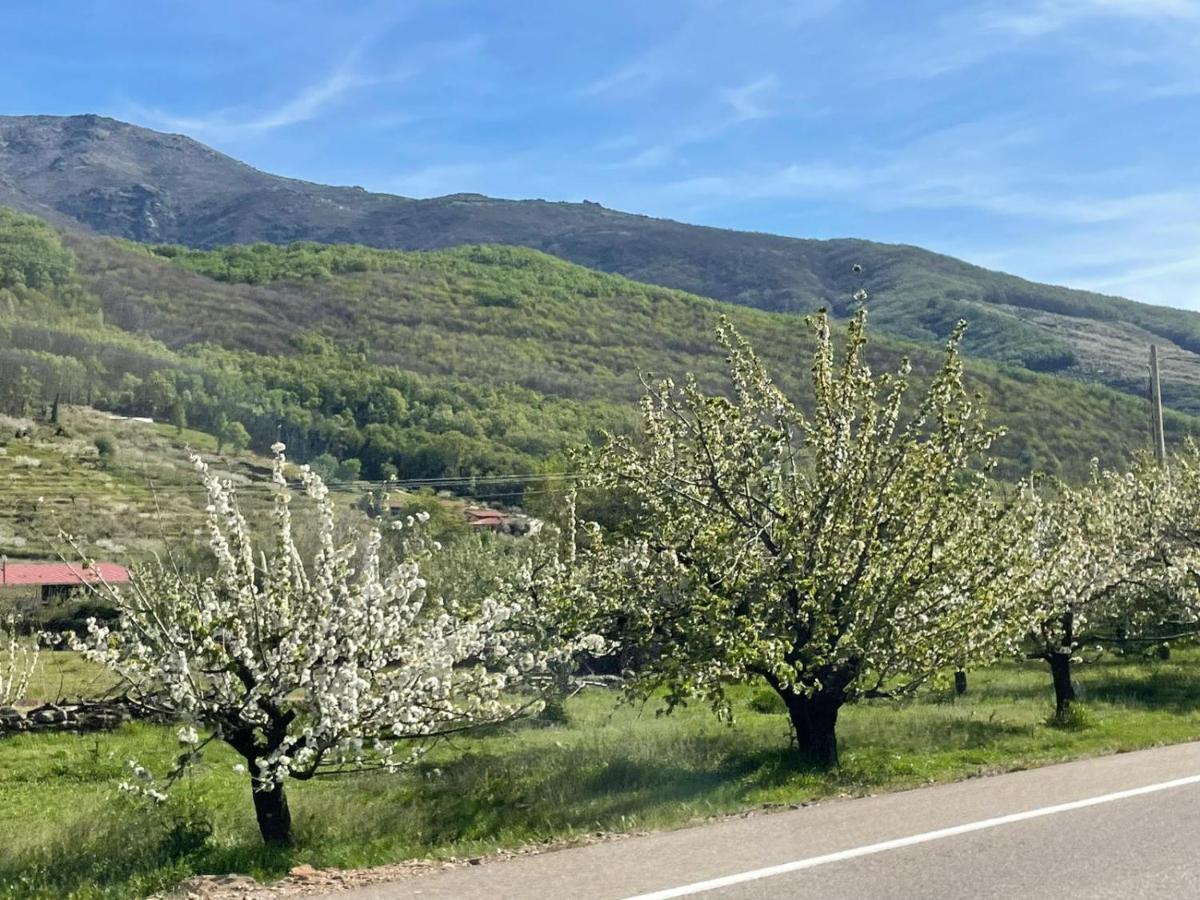 Casa Brigida Holiday home