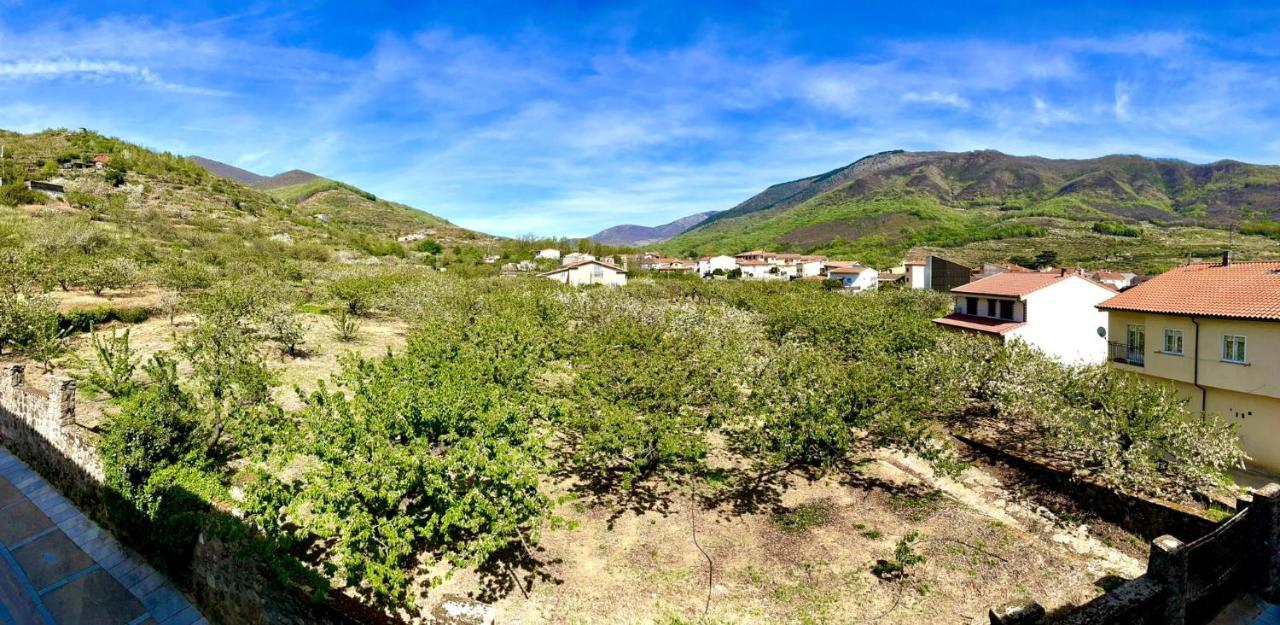 Casa Brigida * Jerte