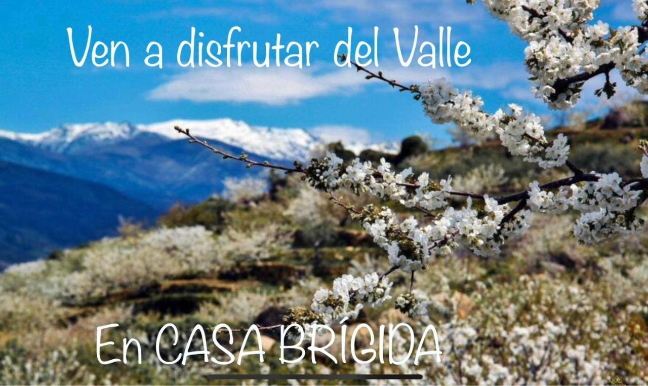 Holiday home Casa Brigida