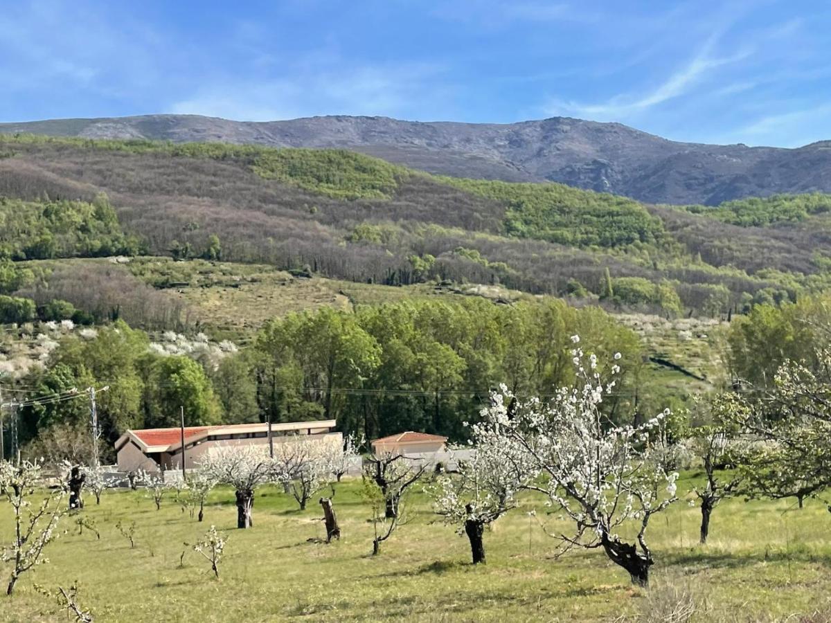 Casa Brigida